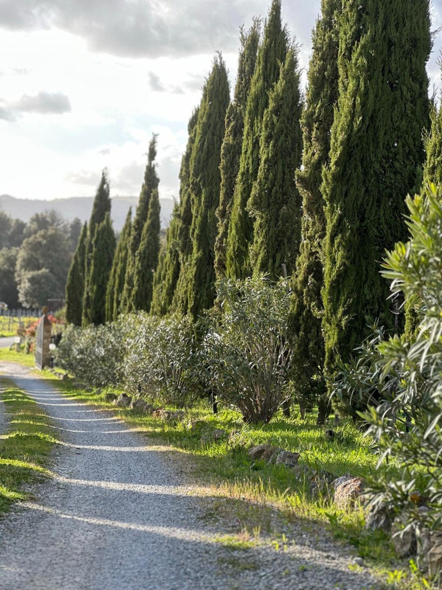 Antico Borgo Il Cardino Acomodação com café da manhã San Gimignano Exterior foto